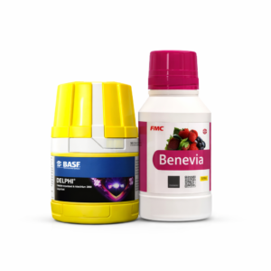 Insecticides